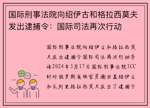 国际刑事法院向绍伊古和格拉西莫夫发出逮捕令：国际司法再次行动